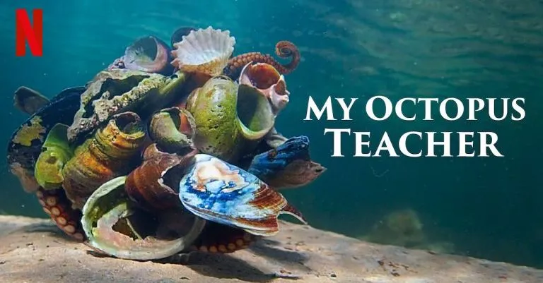 123932805_130849218787094_7961244142835543068_n.jpg?type=w1