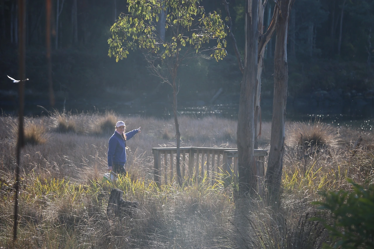 야생의 새들이 살고 있는 언주의 풍경 (1).JPG