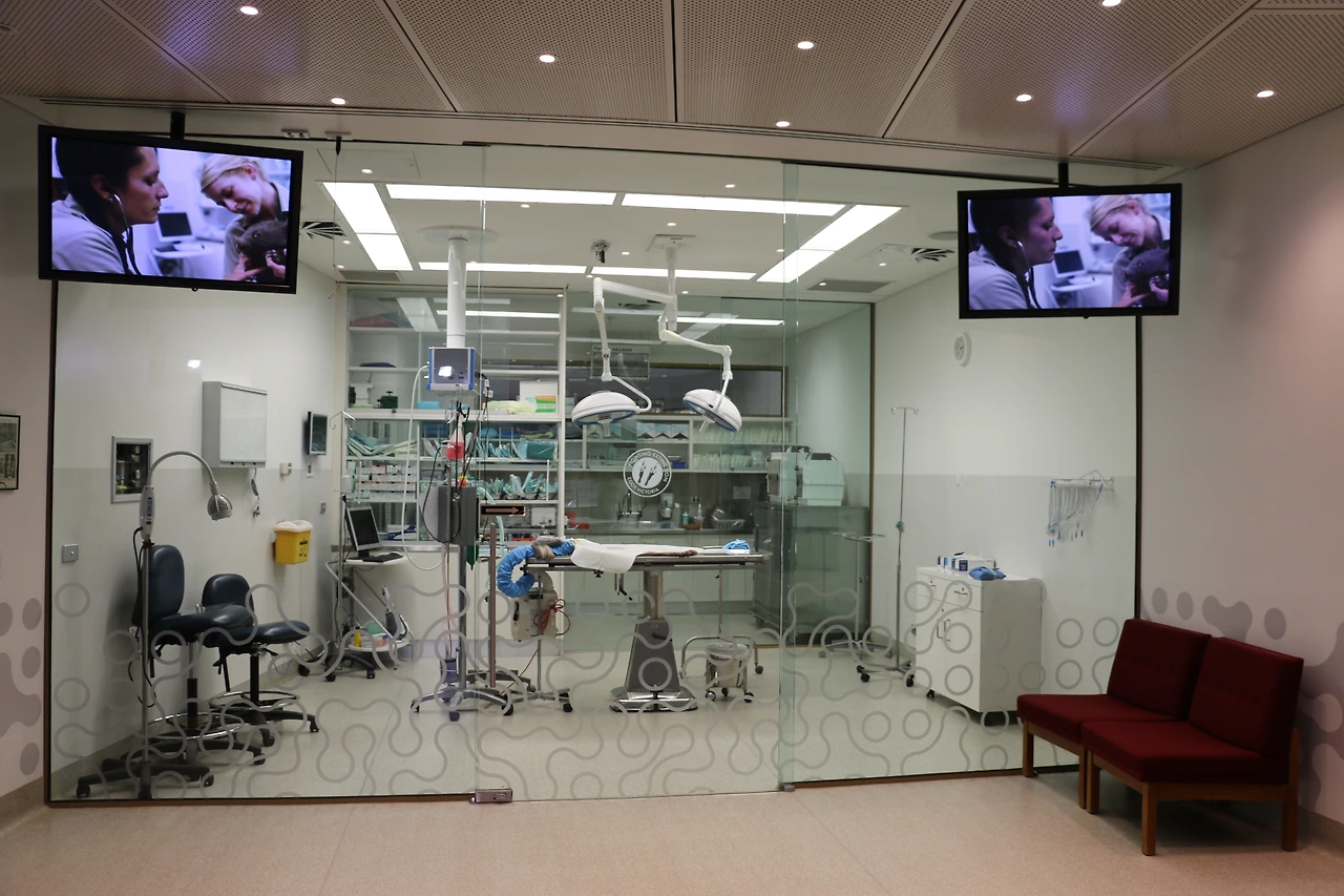 내부가 모두 보이는 수술실.JPG