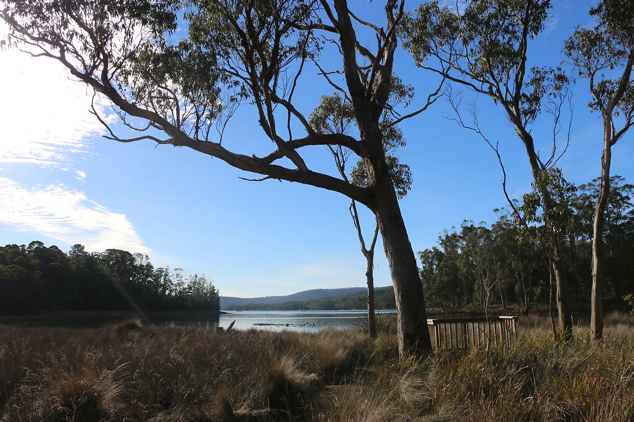 야생의 새들이 살고 있는 언주의 풍경 (2).JPG