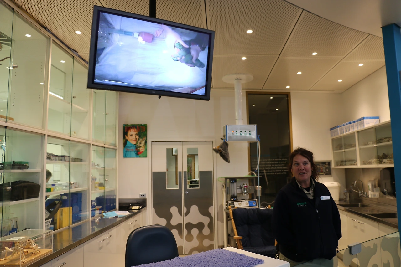 수의 간호사의 설명 시간.JPG