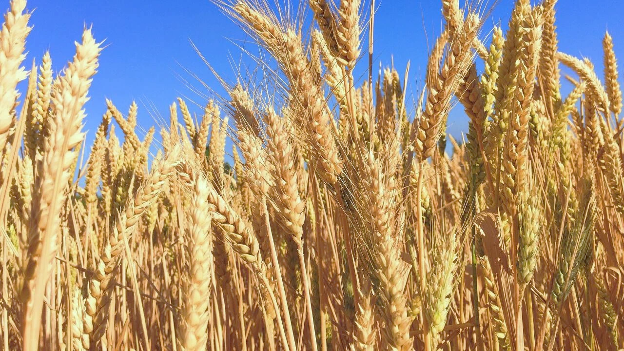 photo-1437252611977-07f74518abd7?ixid=MnwxMjA3fDB8MHxwaG90by1wYWdlfHx8fGVufDB8fHx8&amp;ixlib=rb-1.2.1&amp;auto=format&amp;fit=crop&amp;w=1000&amp;q=80