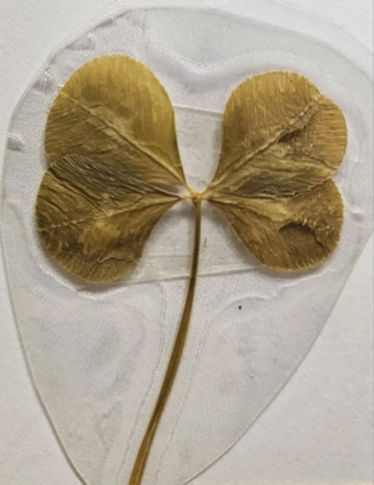 20240531%EF%BC%BF223450.jpg?type=w773