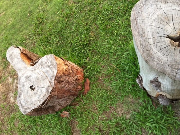 NaverBlog_20150501_142239_54.jpg?type=w2