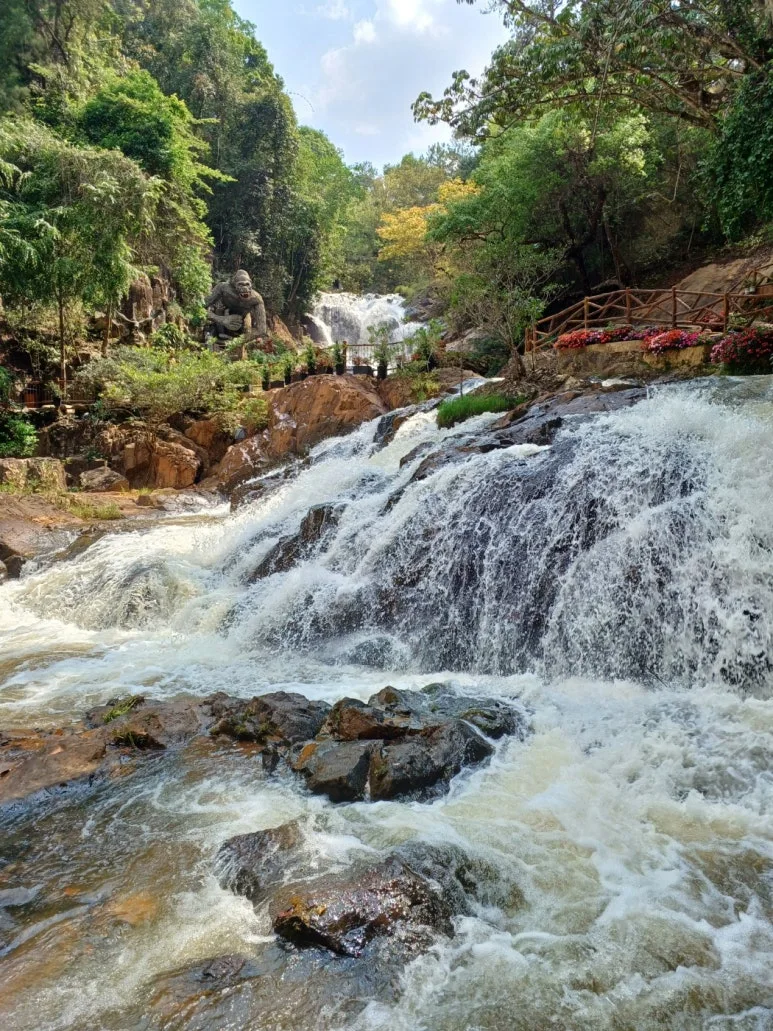 KakaoTalk_20240520_164618008.jpg?type=w773