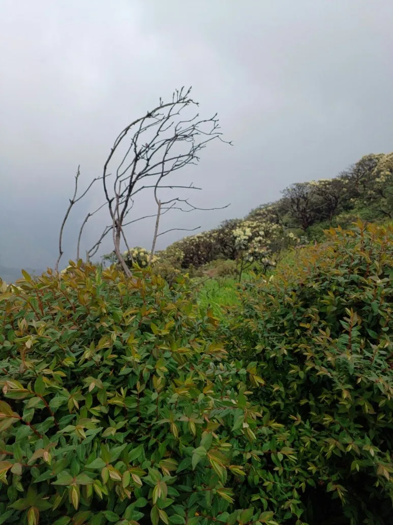 %ED%8C%90%EC%8B%9C%ED%8C%90.jpg?type=w773