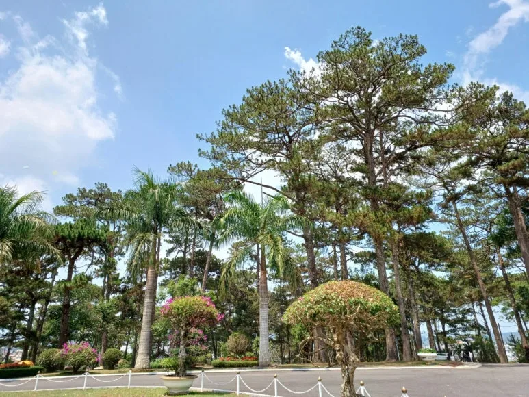 KakaoTalk_20240520_164605715.jpg?type=w773