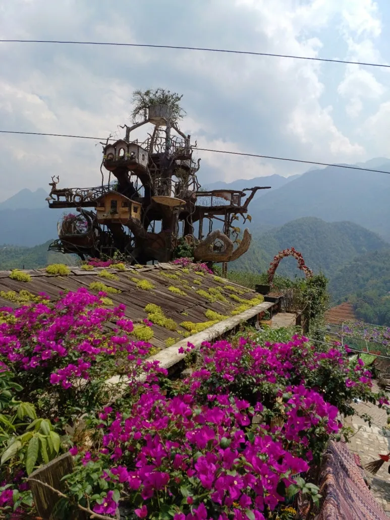 %EC%BA%A3%EC%BA%A3_%EC%83%88%EC%A7%91.jpg?type=w773