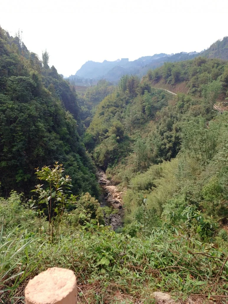 %EC%BA%A3%EC%BA%A3_%EC%82%B0%EC%86%8D.jpg?type=w773