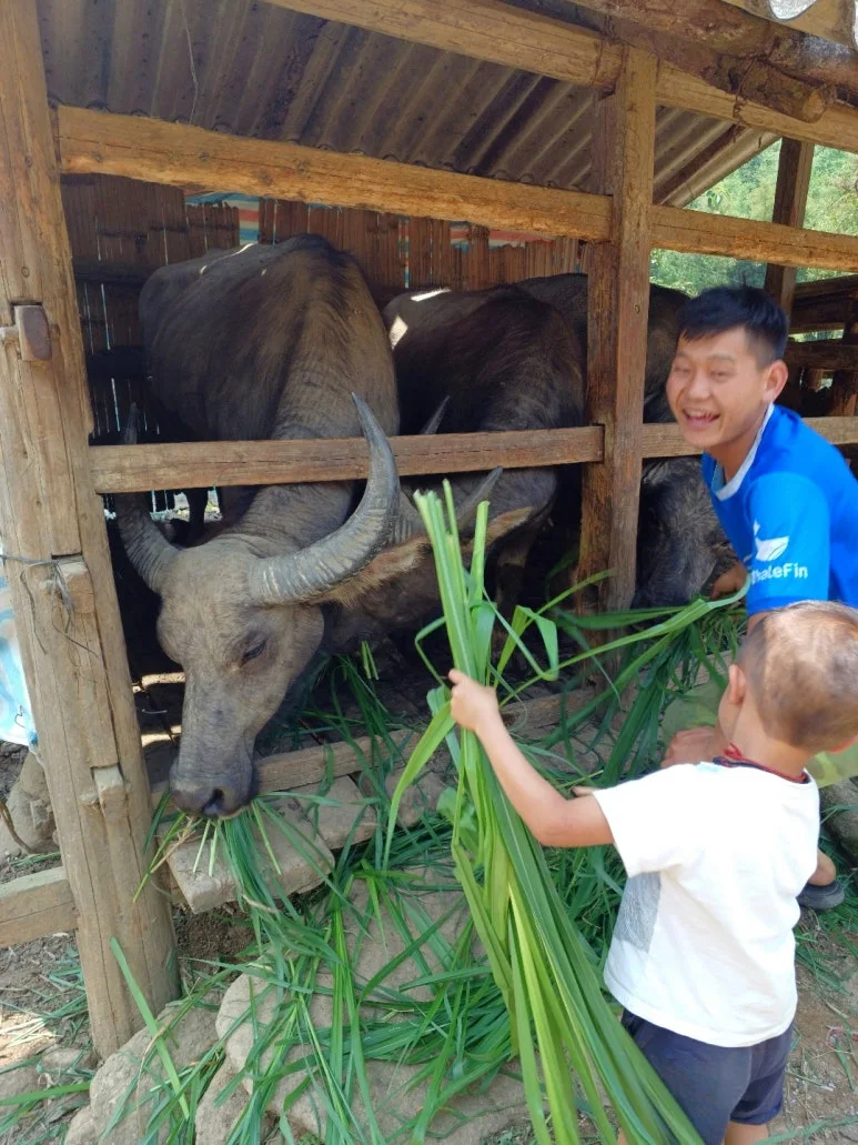 %EB%94%B0%ED%95%80%EB%8F%99%EA%B5%B4_%EA%B7%BC%EB%B0%A9%EC%97%90%EC%84%9C_%ED%82%A4%EC%9A%B0%EB%8A%94_%EB%AC%BC%EC%86%8C.jpg?type=w773