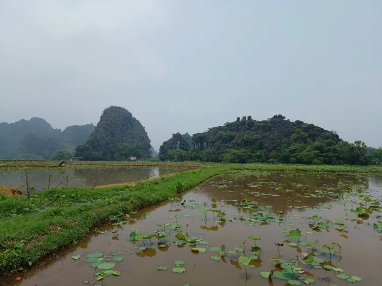 %ED%95%AD%EB%AC%B4%EC%95%84_%EC%9D%BC%EB%8C%80_%EC%A0%84%EA%B2%BD.jpg?type=w773