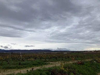 IMG_3150.jpg?type=w386