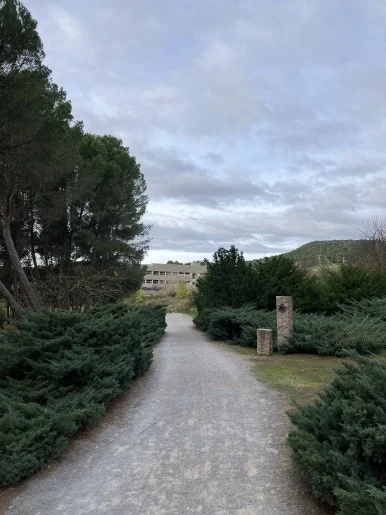 IMG_2986.jpg?type=w386