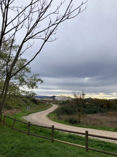 IMG_3102.jpg?type=w386