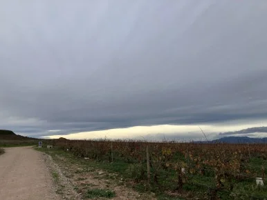 IMG_3086.jpg?type=w386