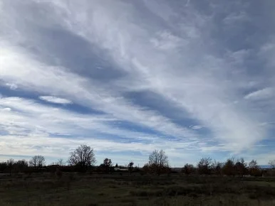 IMG_6071.jpg?type=w386