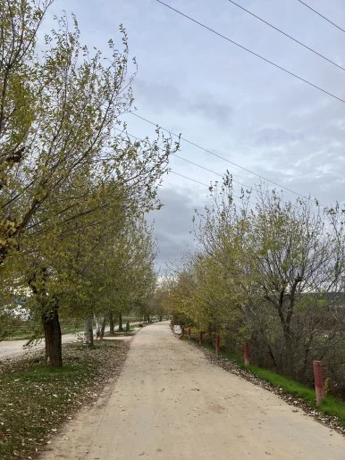 IMG_2967.jpg?type=w386