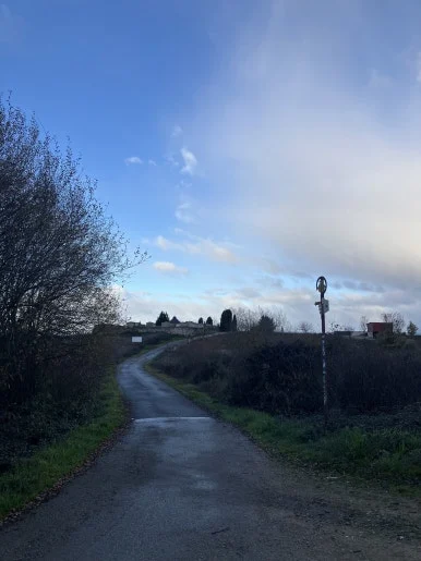 IMG_7364.jpg?type=w386