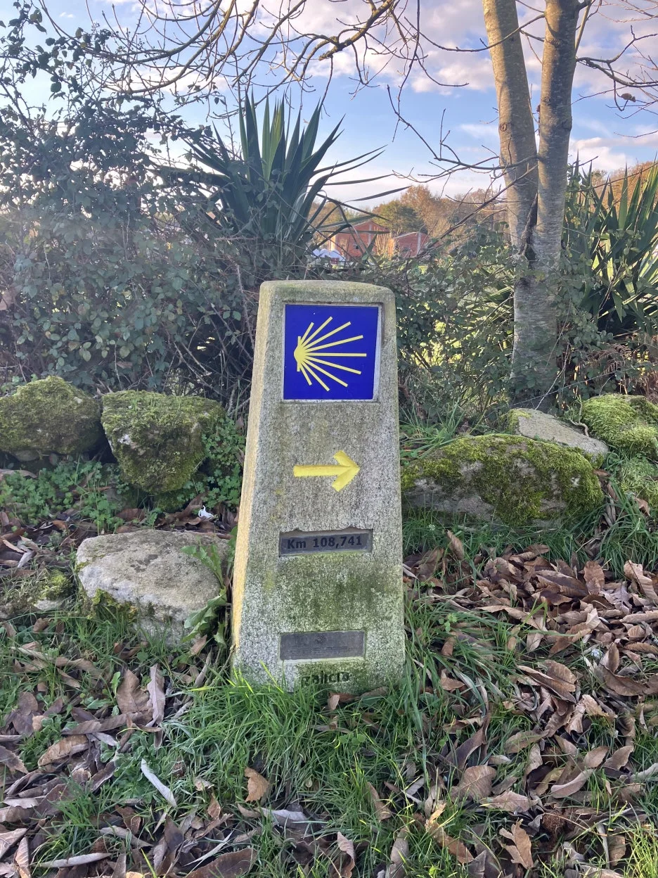 IMG_8493_2.jpg?type=w1