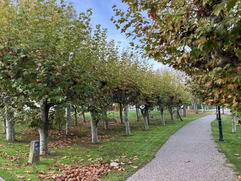 IMG_2302.jpg?type=w773