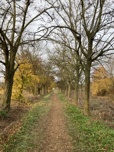 IMG_5259.jpg?type=w386