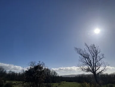 IMG_6752_2.jpg?type=w386