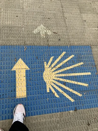 IMG_2208.jpg?type=w386