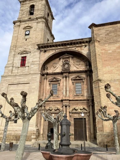 IMG_3021.jpg?type=w386