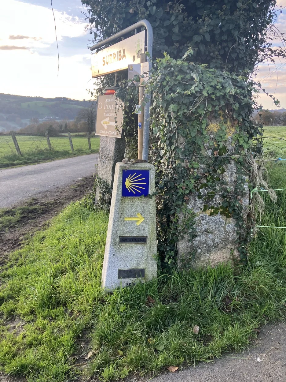 IMG_8478_2.jpg?type=w1