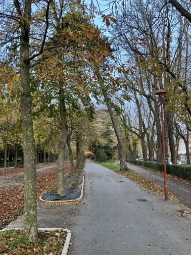 IMG_4386_2.jpg?type=w386