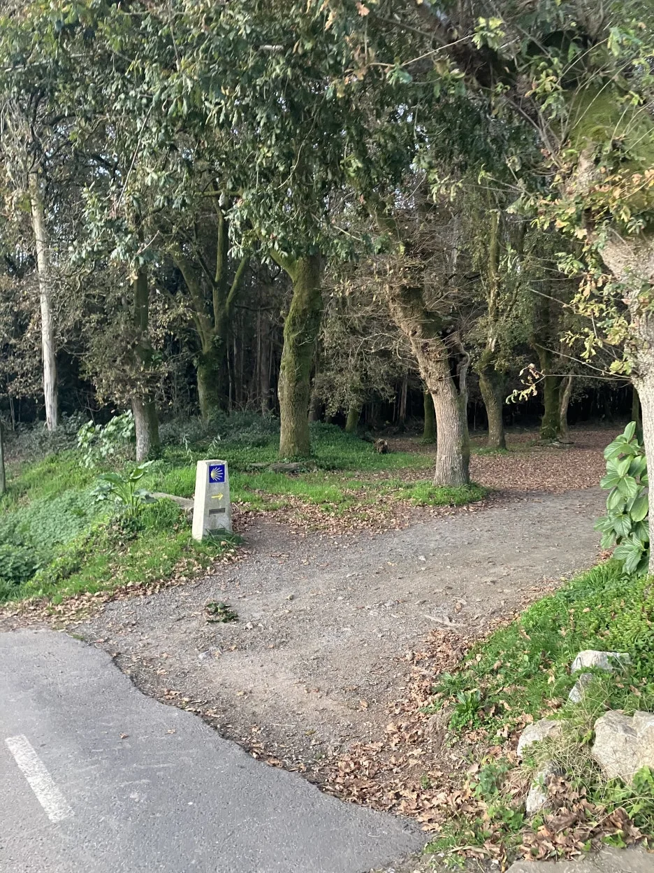 IMG_9526.jpg?type=w1