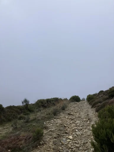 IMG_6923.jpg?type=w386