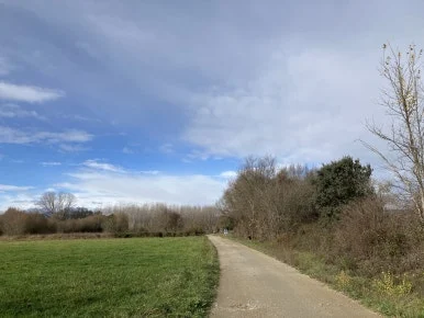 IMG_7457.jpg?type=w386