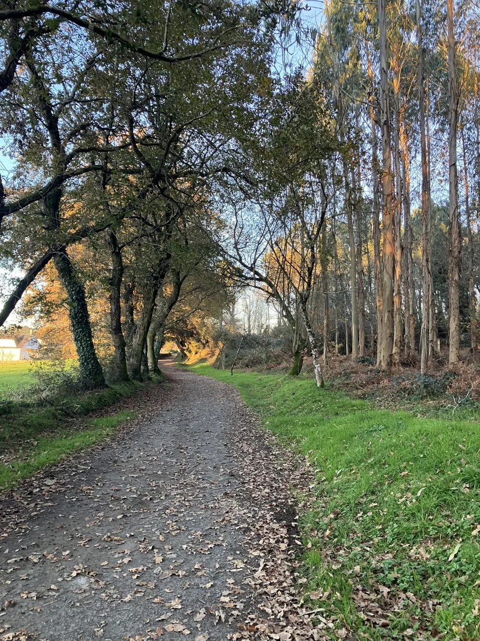 IMG_9537.jpg?type=w1