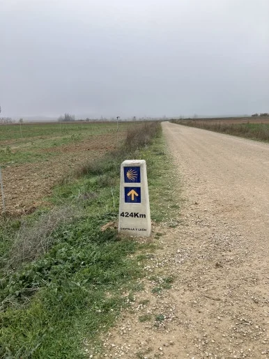 IMG_4726.jpg?type=w386