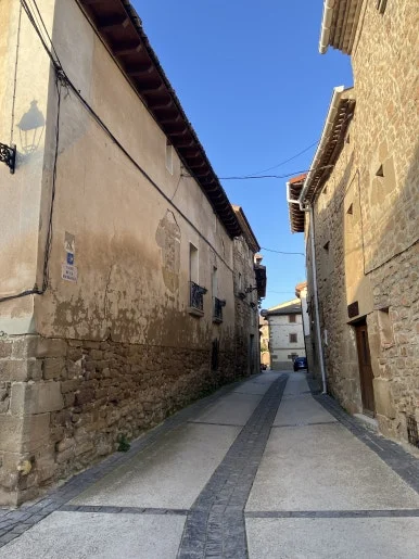 IMG_2442.jpg?type=w386