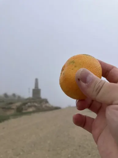 IMG_4679.jpg?type=w386