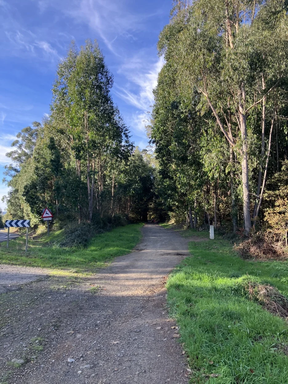 IMG_9602.jpg?type=w1