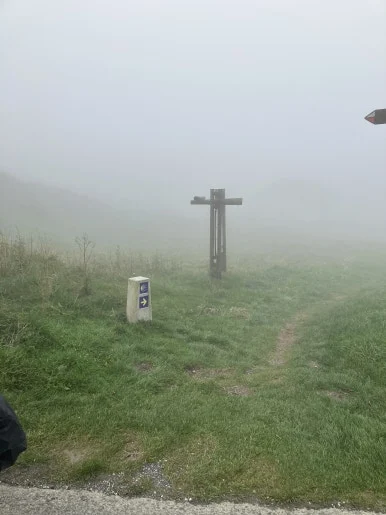 IMG_1997.jpg?type=w386