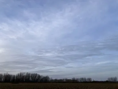 IMG_4933.jpg?type=w386