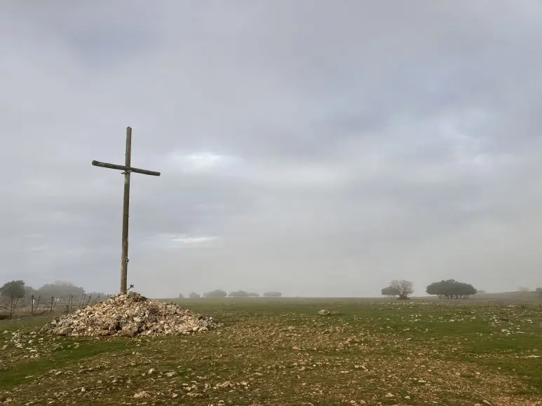 IMG_3758.jpg?type=w773