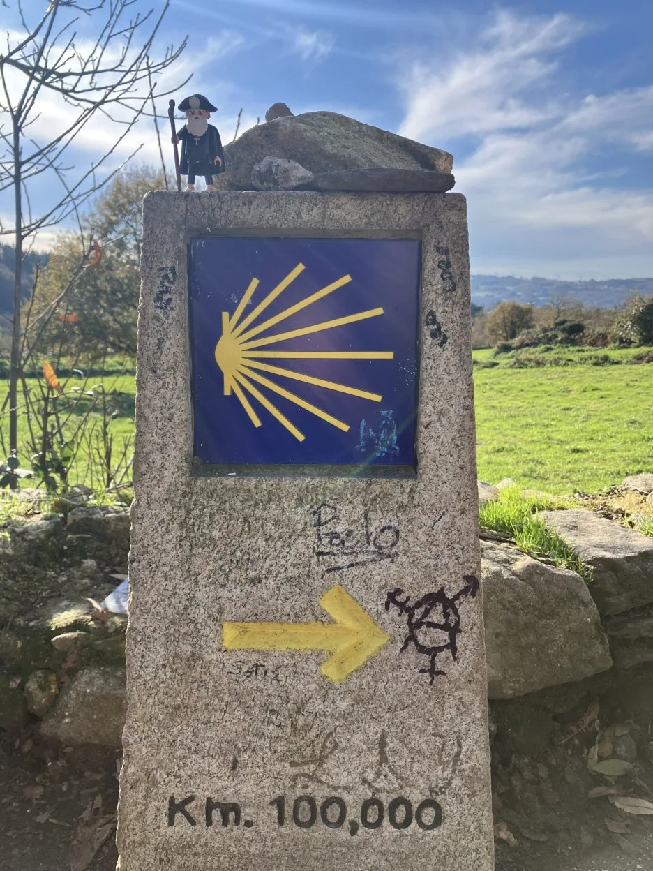 IMG_8590_2.jpg?type=w1