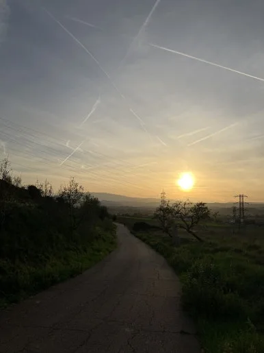 IMG_2900.jpg?type=w386