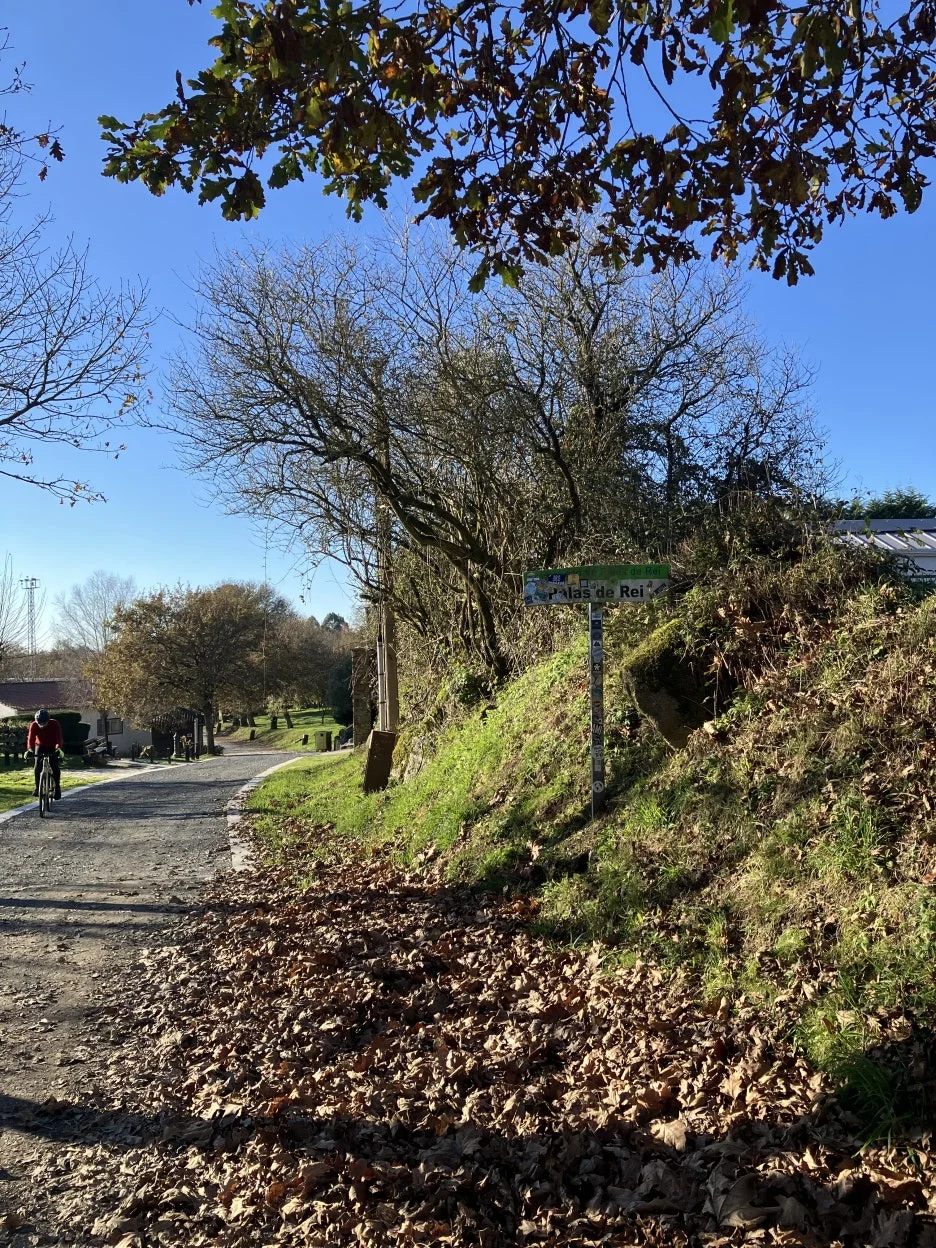 IMG_9027.jpg?type=w1