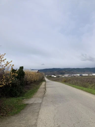 IMG_7470.jpg?type=w386