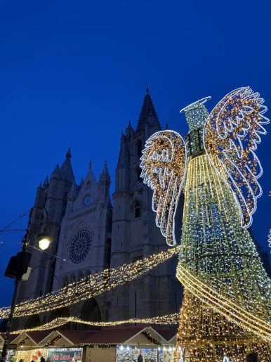 IMG_5906.jpg?type=w386