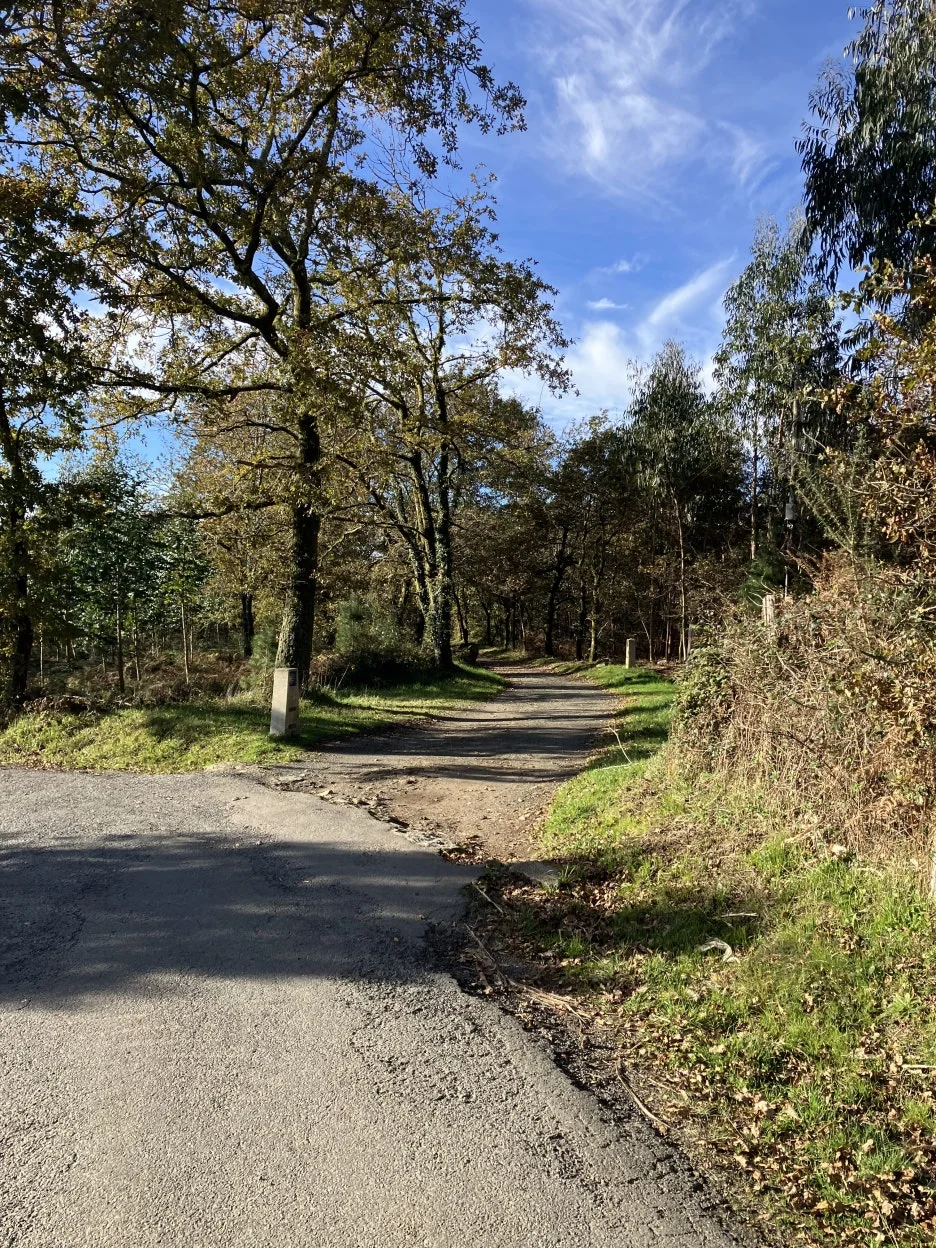 IMG_9609.jpg?type=w1