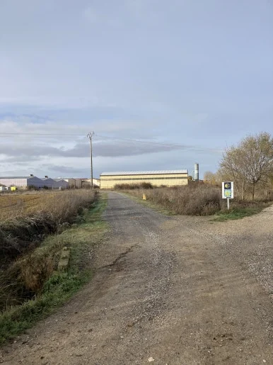 IMG_5559.jpg?type=w386