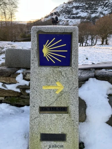 IMG_7945.jpg?type=w386