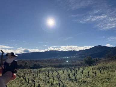 IMG_7548.jpg?type=w386